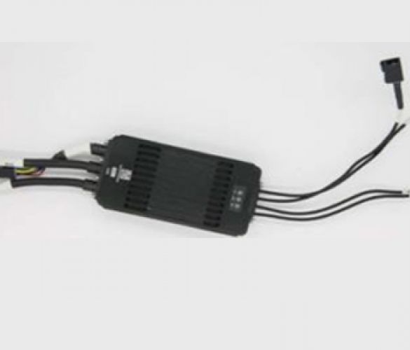 Modul DLS của XP 2020