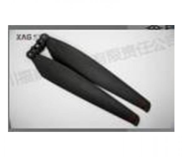 Cánh ngược (M1,3) của XP 2020