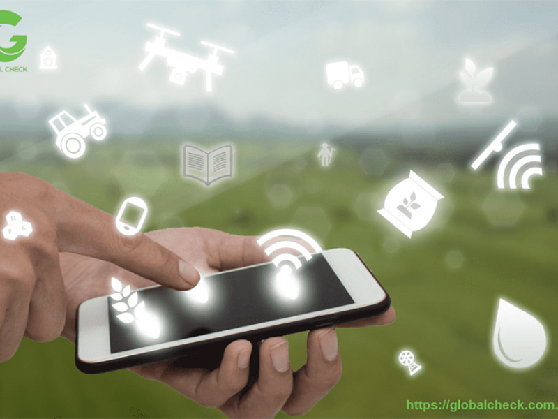 Ứng dụng mô hình IoT nông nghiệp thông minh